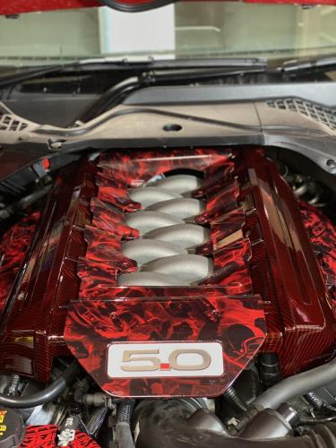 Unique Hydro Dipped Mustang Engine Cover
