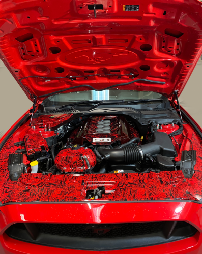 Unique Hydro Dipped Mustang Engine Bay Cover