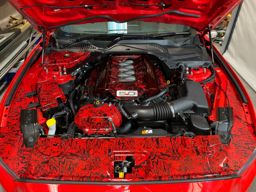 Unique Hydro Dipped Mustang Engine Cover