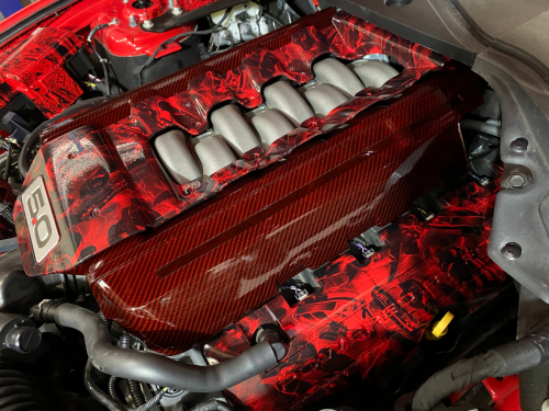 Unique Hydro Dipped Mustang Engine Cover